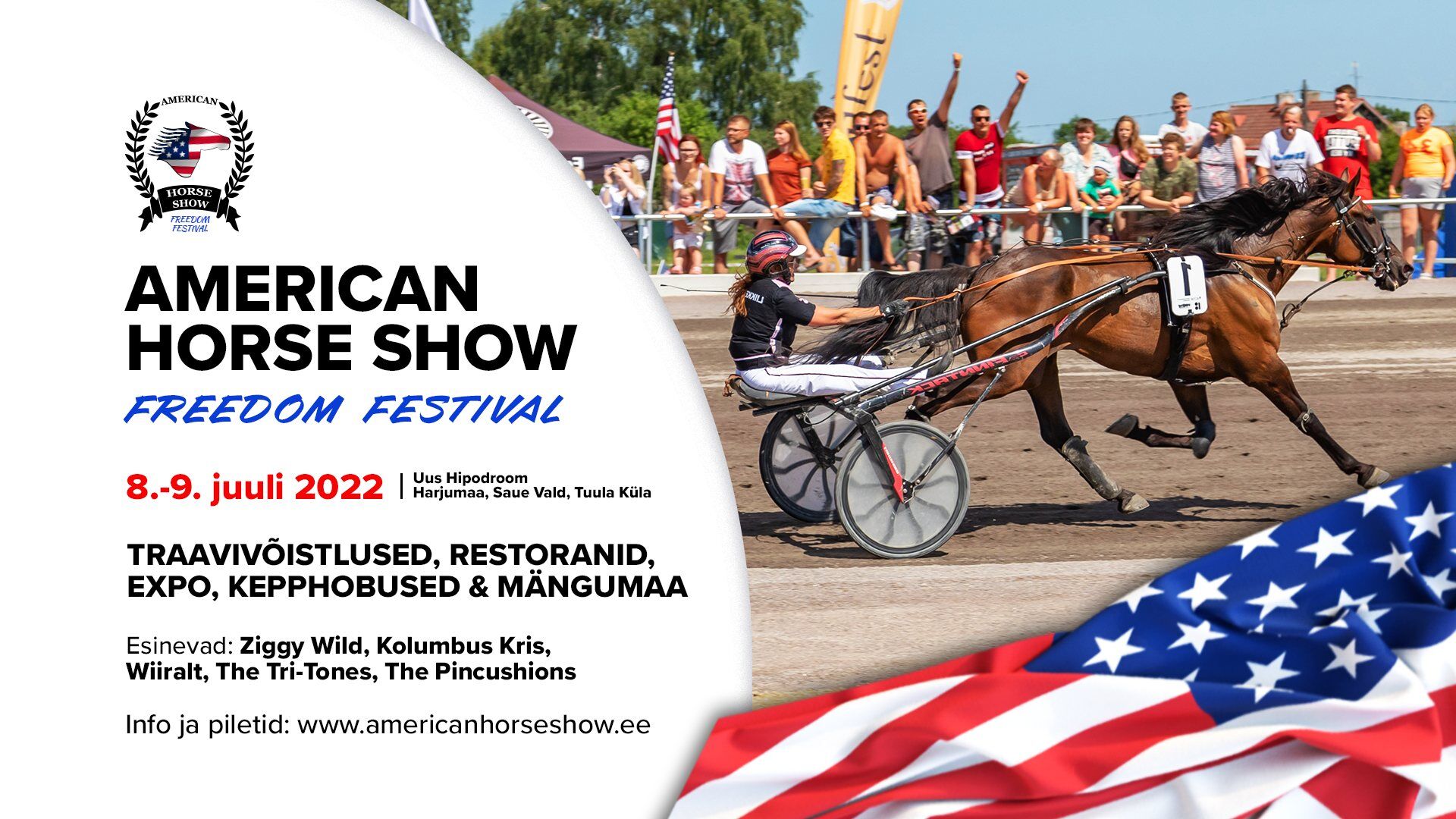 american horse show